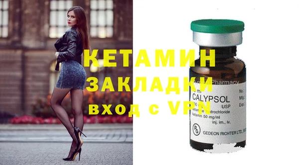 шишки Аркадак