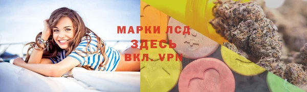 шишки Аркадак
