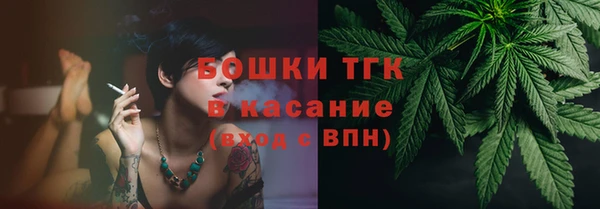 шишки Аркадак