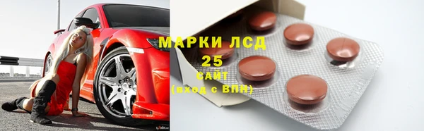 шишки Аркадак