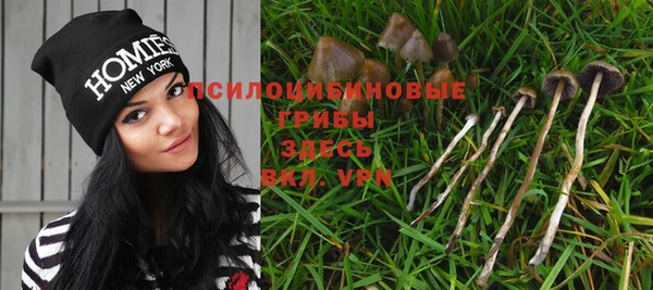 твердый Армянск