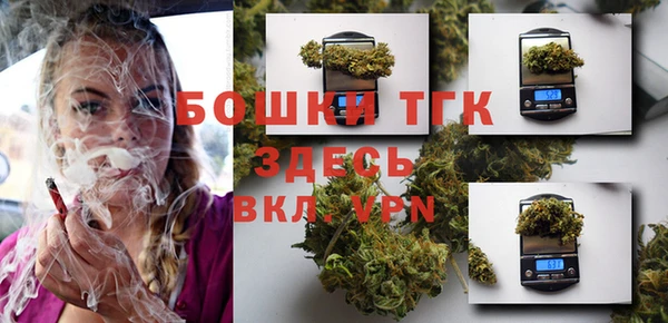 шишки Аркадак