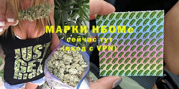 экстази Арсеньев