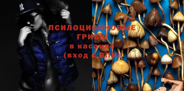 экстази Арсеньев