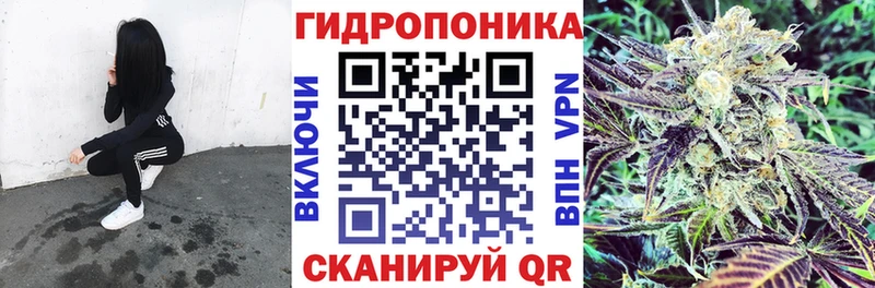 Каннабис ГИДРОПОН  Купить  Десногорск 